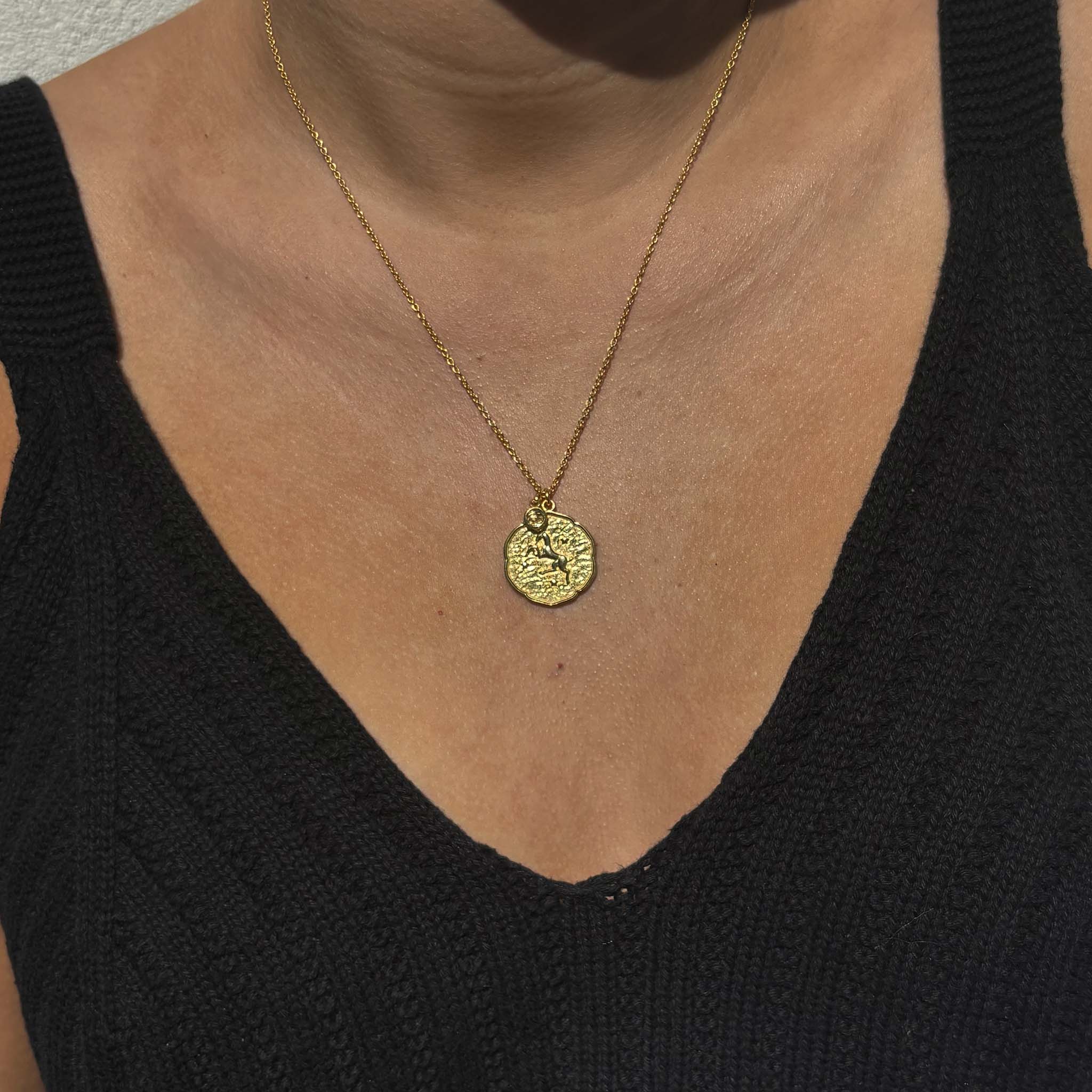 Aries Necklace with Birth Stone Charm