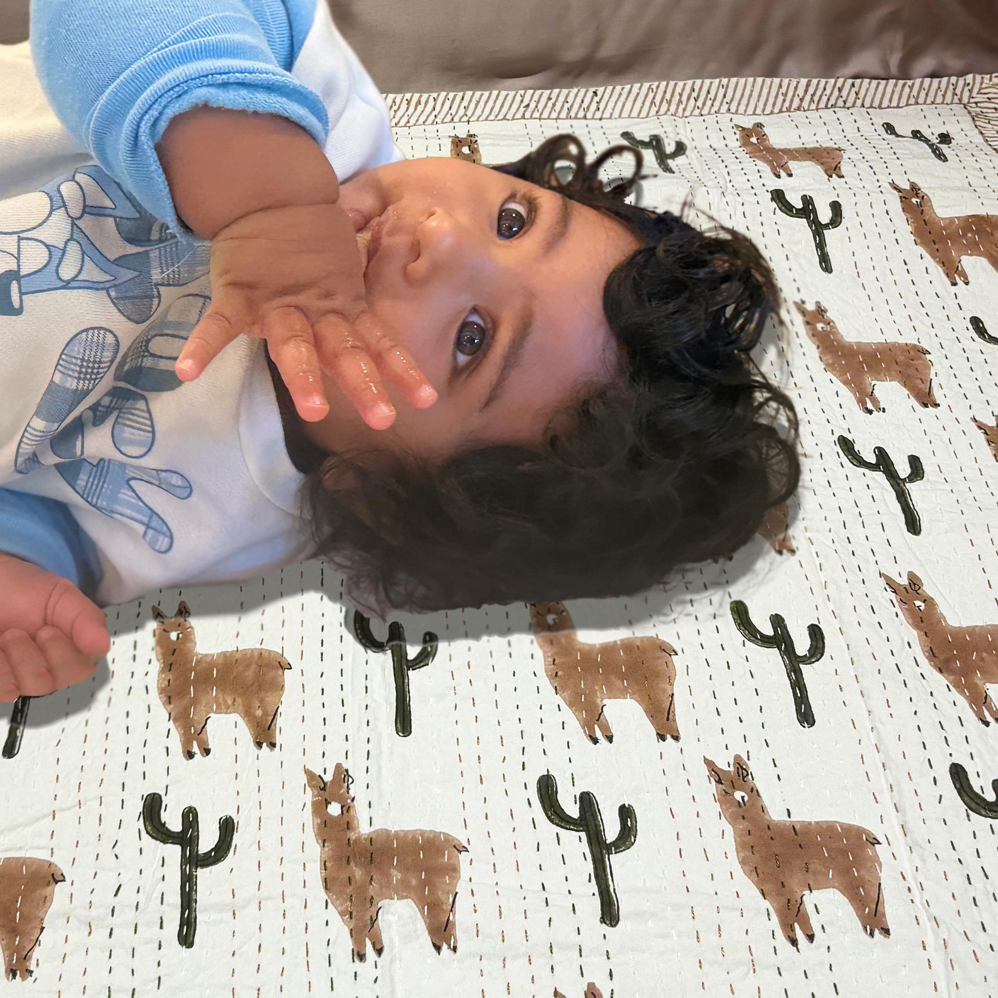 Playtime Llama Blanket