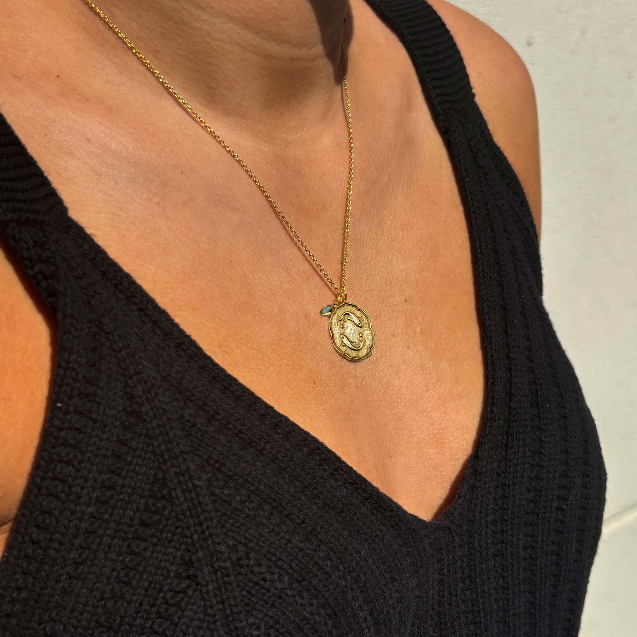 Pisces Necklace With Birth Stone Charm