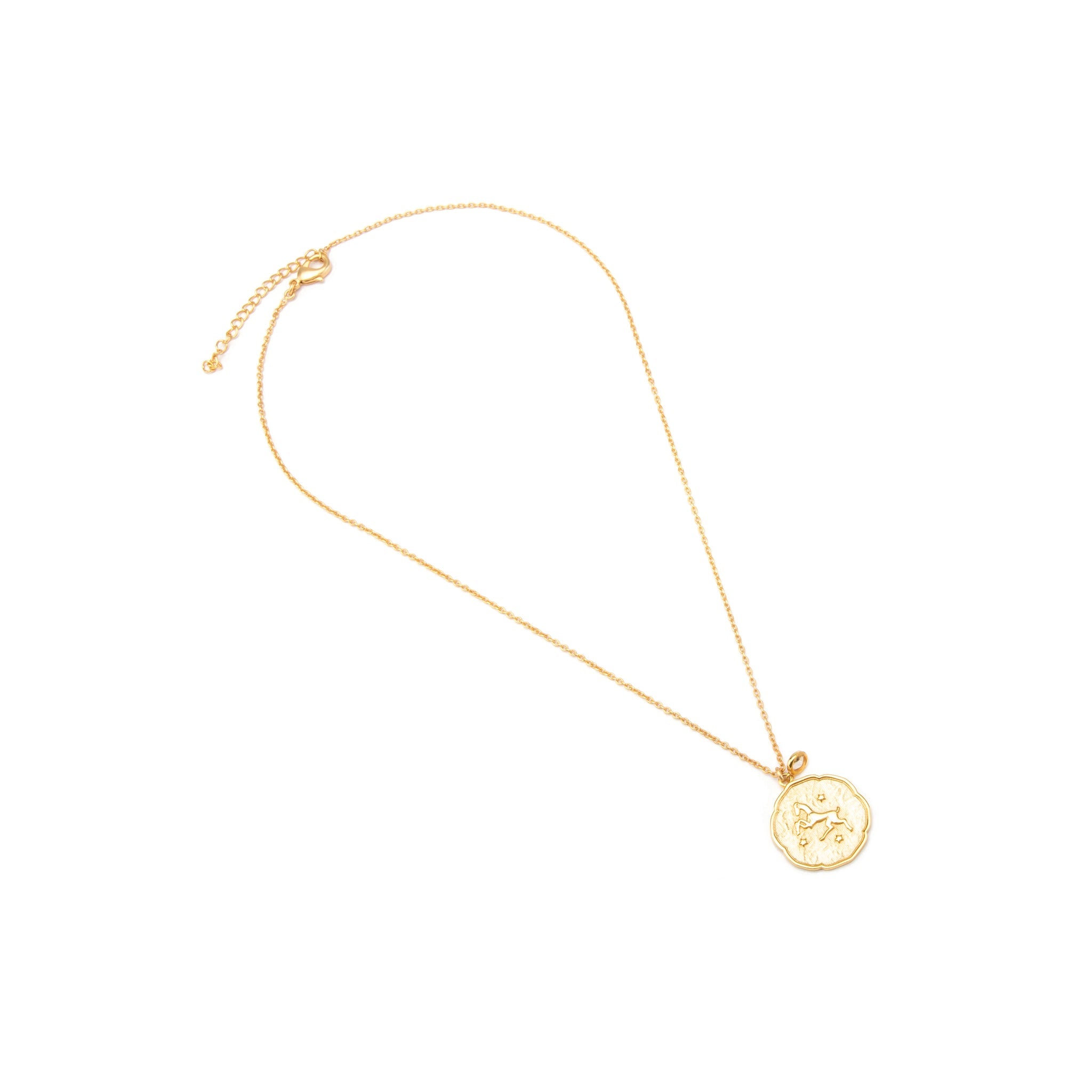 Aries Necklace with Birth Stone Charm