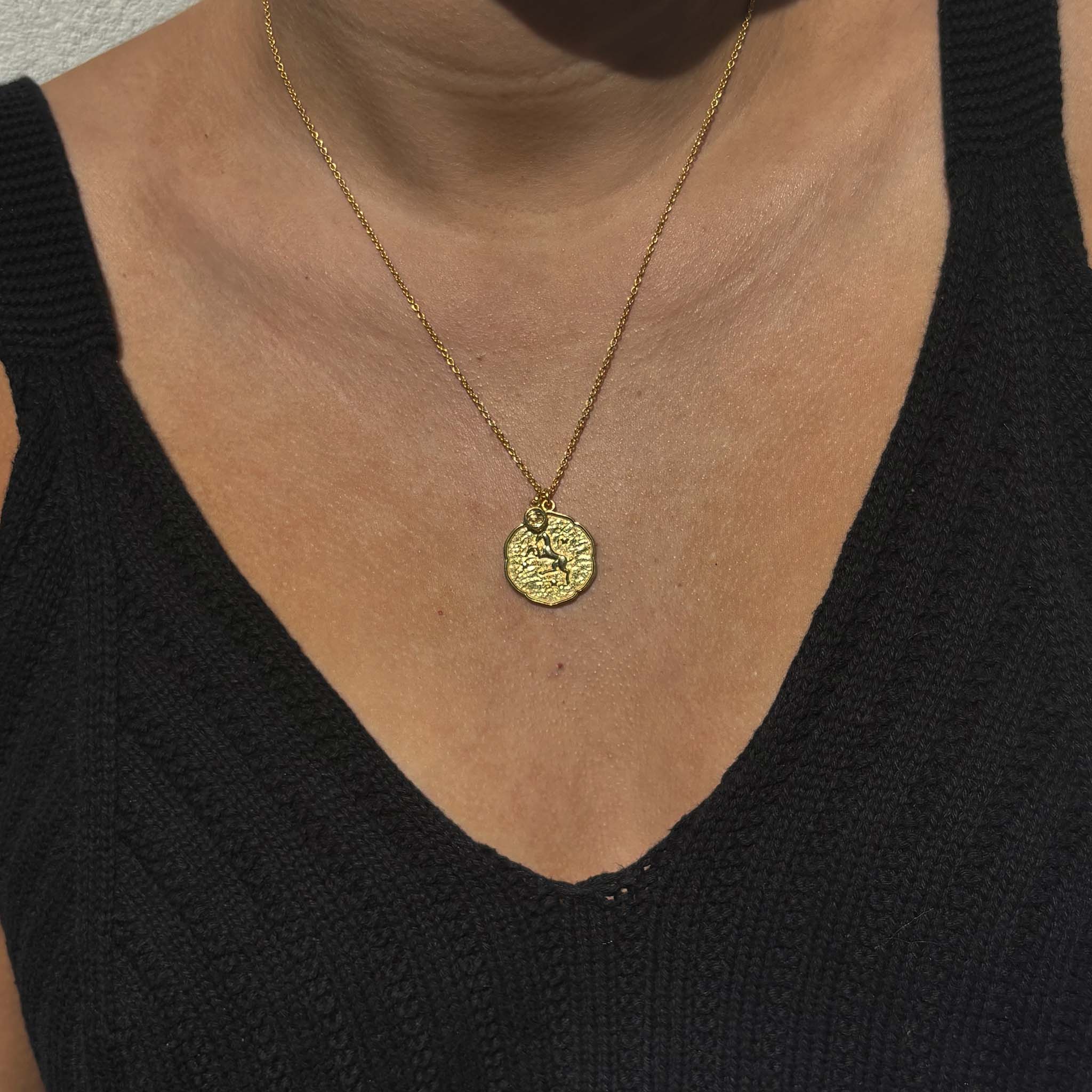 Aries Necklace with Birth Stone Charm