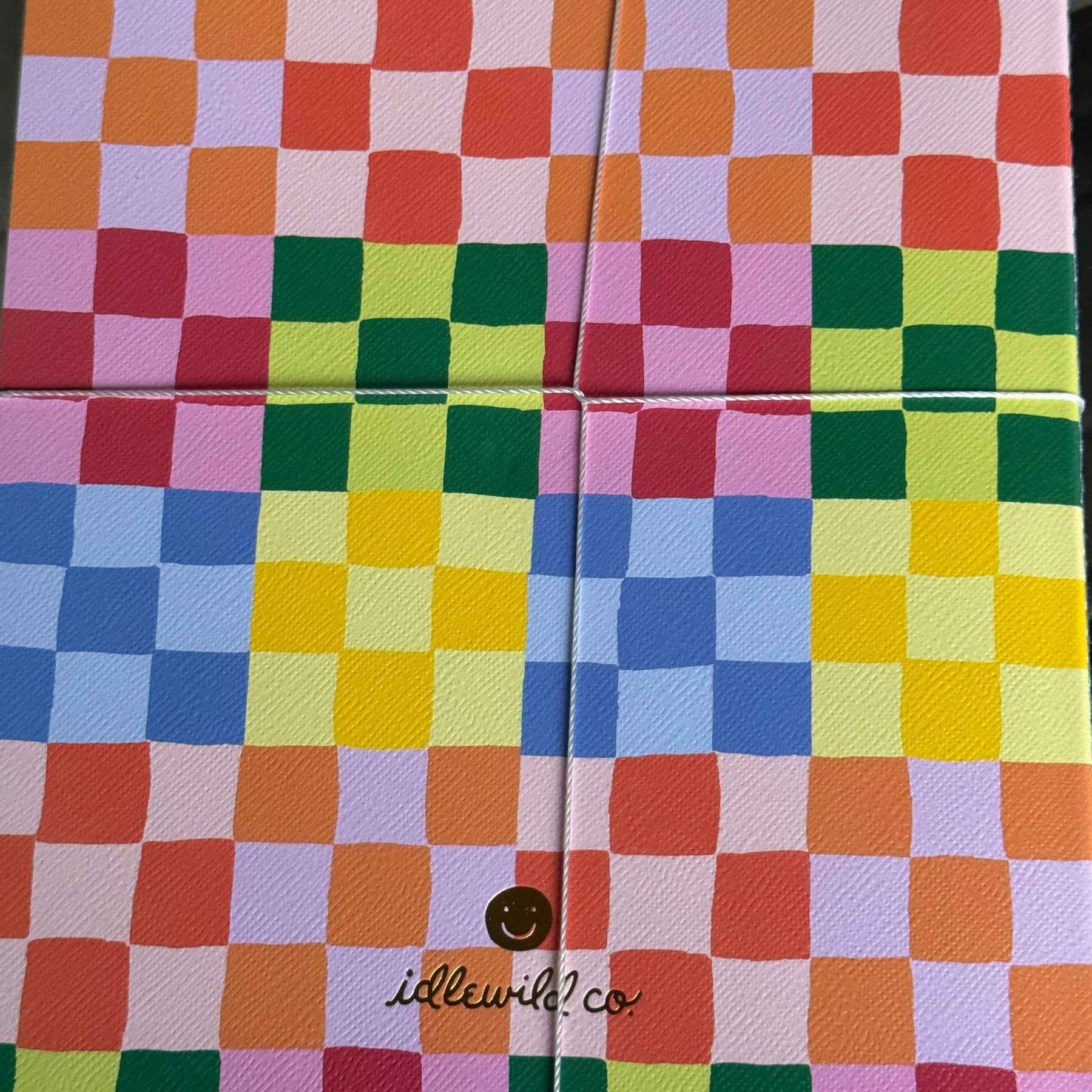 Rainbow Check Notebook Duo